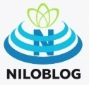 فرهنگ یا سیاست؟
